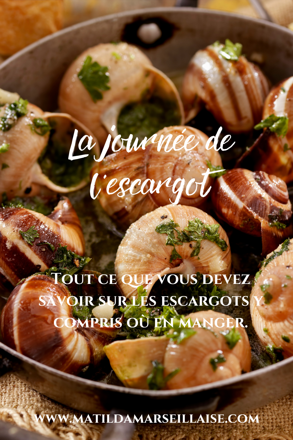 La journée nationale de l’escargot : tout ce qu’il faut savoir sur le plat français   