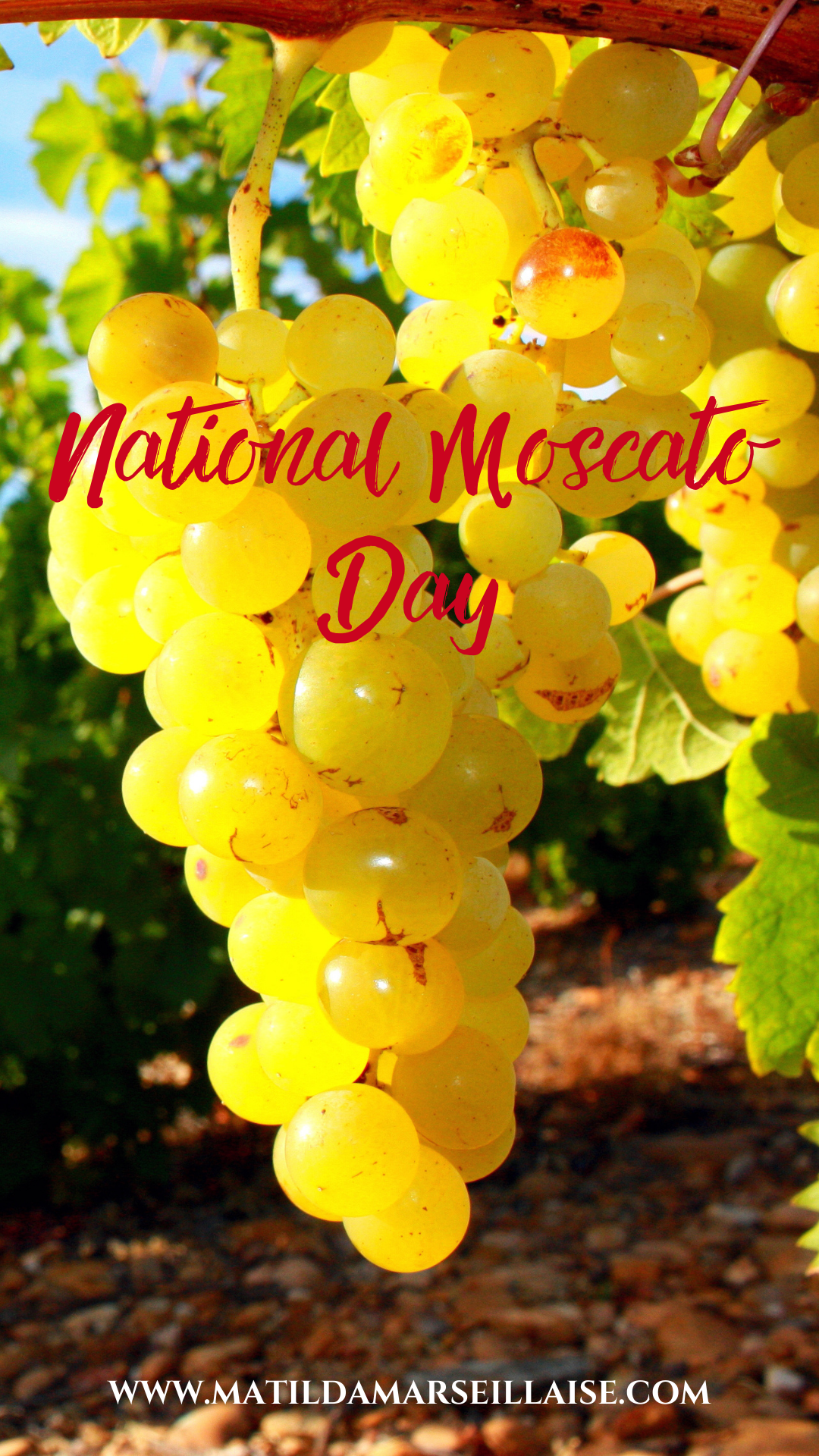National Moscato Day 2022
