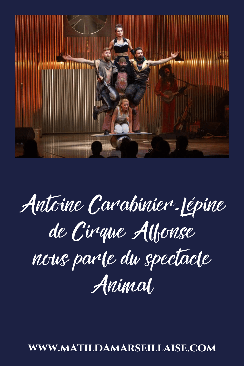 Cirque Alfonse Animal