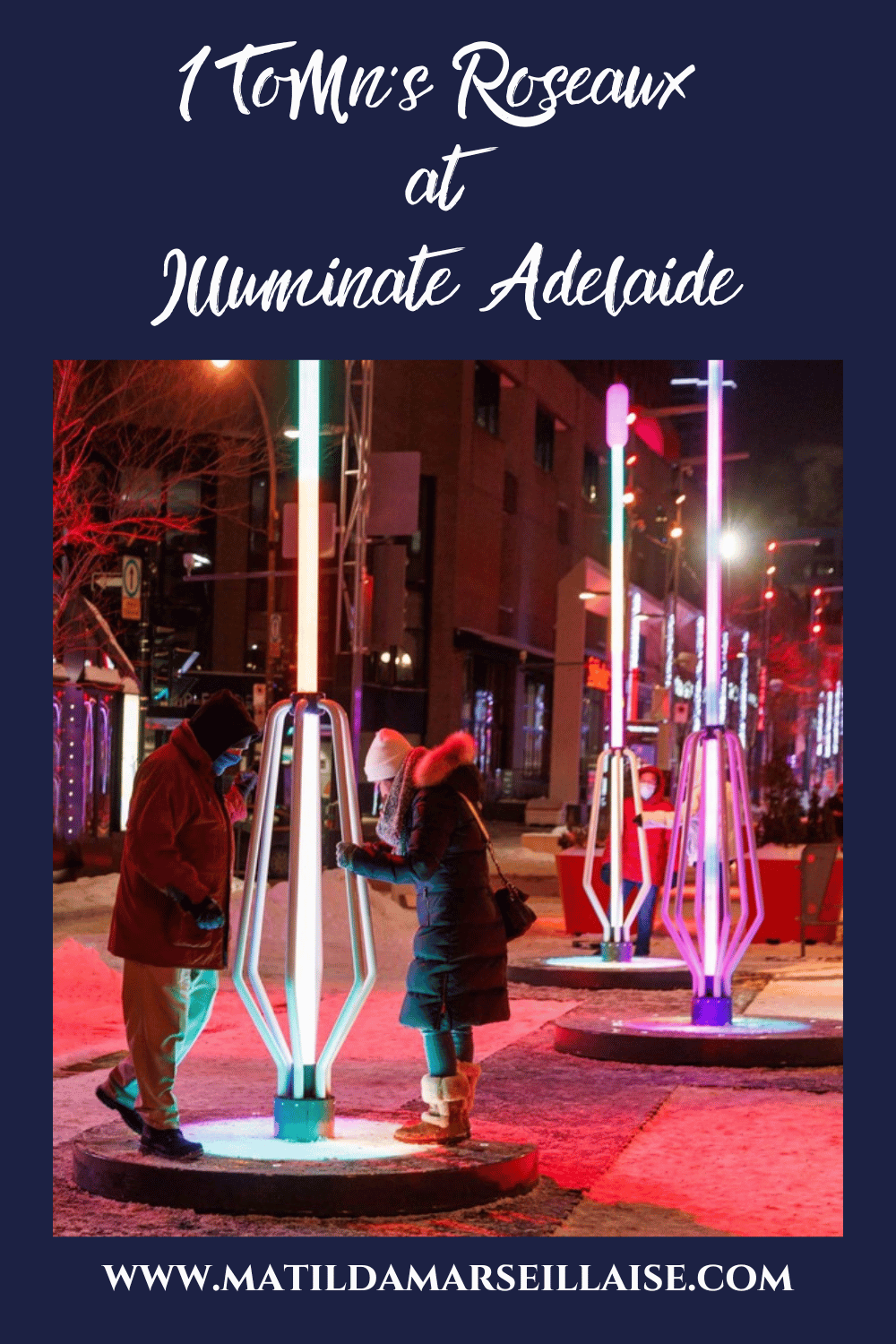 Go see Roseaux, the particip-active installation from Quebecois companies One Touch of Madness and UDO at Illuminate Adelaide
